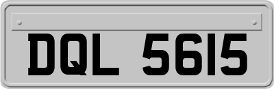 DQL5615