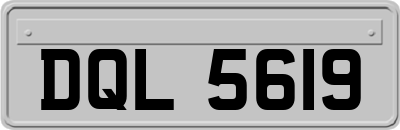 DQL5619