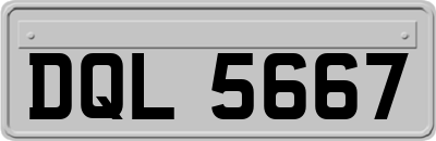DQL5667