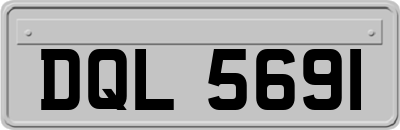 DQL5691
