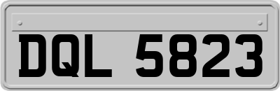DQL5823