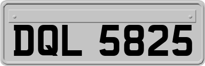 DQL5825