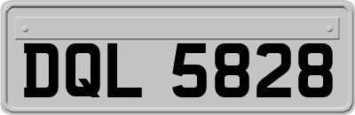 DQL5828
