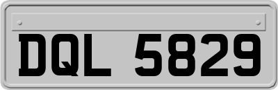 DQL5829