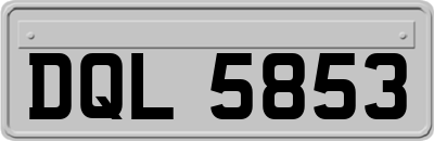 DQL5853