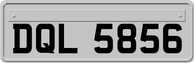 DQL5856