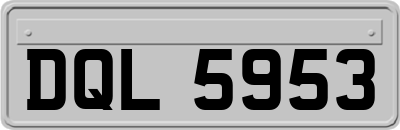 DQL5953