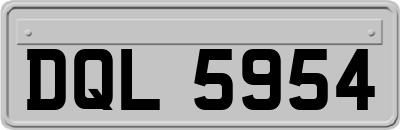 DQL5954