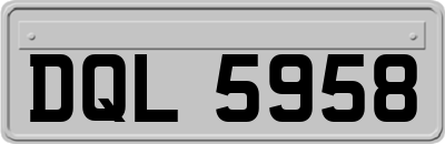 DQL5958