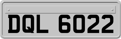 DQL6022
