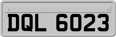 DQL6023