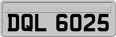 DQL6025