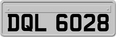 DQL6028