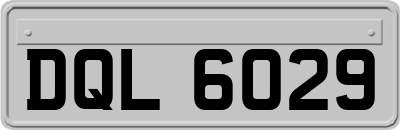 DQL6029