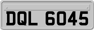 DQL6045