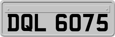 DQL6075