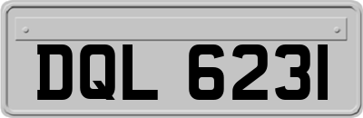 DQL6231