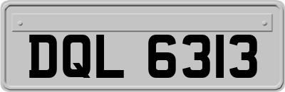 DQL6313