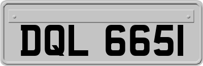 DQL6651