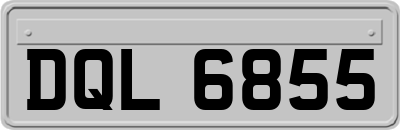 DQL6855