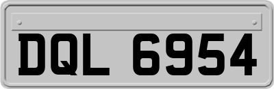 DQL6954