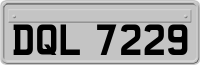 DQL7229