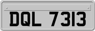 DQL7313