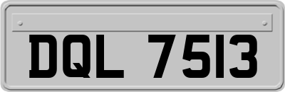 DQL7513