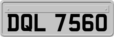 DQL7560