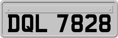 DQL7828