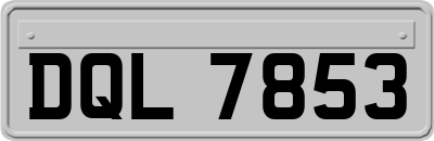 DQL7853
