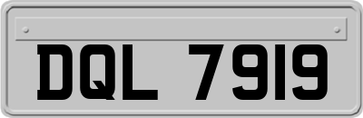 DQL7919