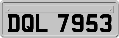 DQL7953