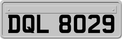 DQL8029