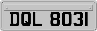 DQL8031