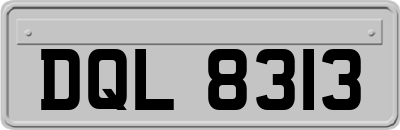 DQL8313
