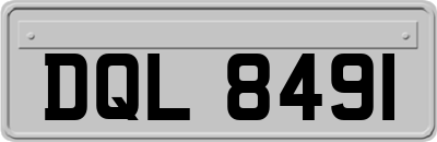 DQL8491