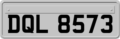 DQL8573