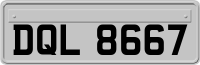 DQL8667