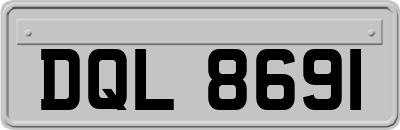 DQL8691