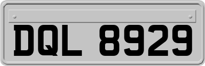 DQL8929
