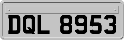DQL8953