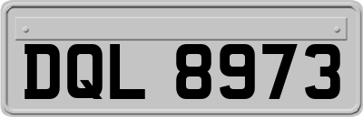 DQL8973