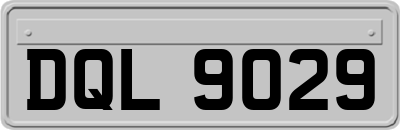 DQL9029