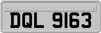 DQL9163