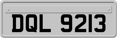 DQL9213
