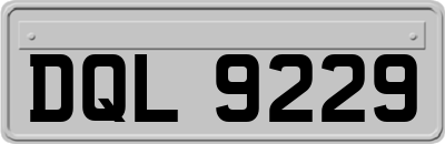 DQL9229