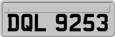 DQL9253
