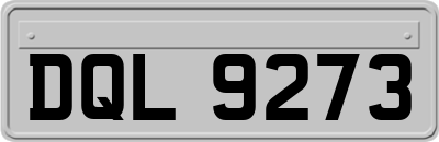 DQL9273