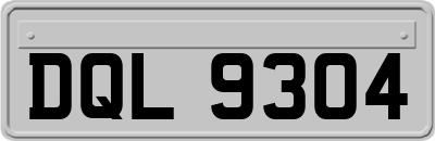 DQL9304